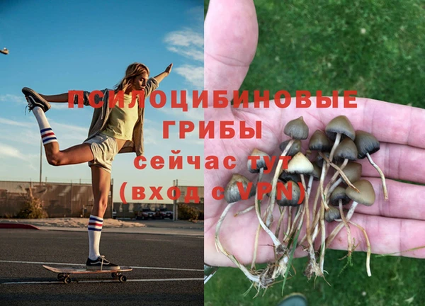 ECSTASY Нягань