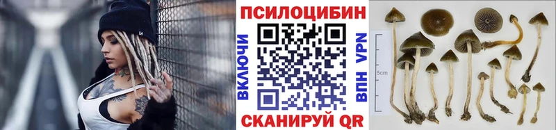 Галлюциногенные грибы мицелий Мураши